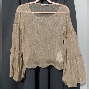 Zara Sheer Gold Sparkly Blouse